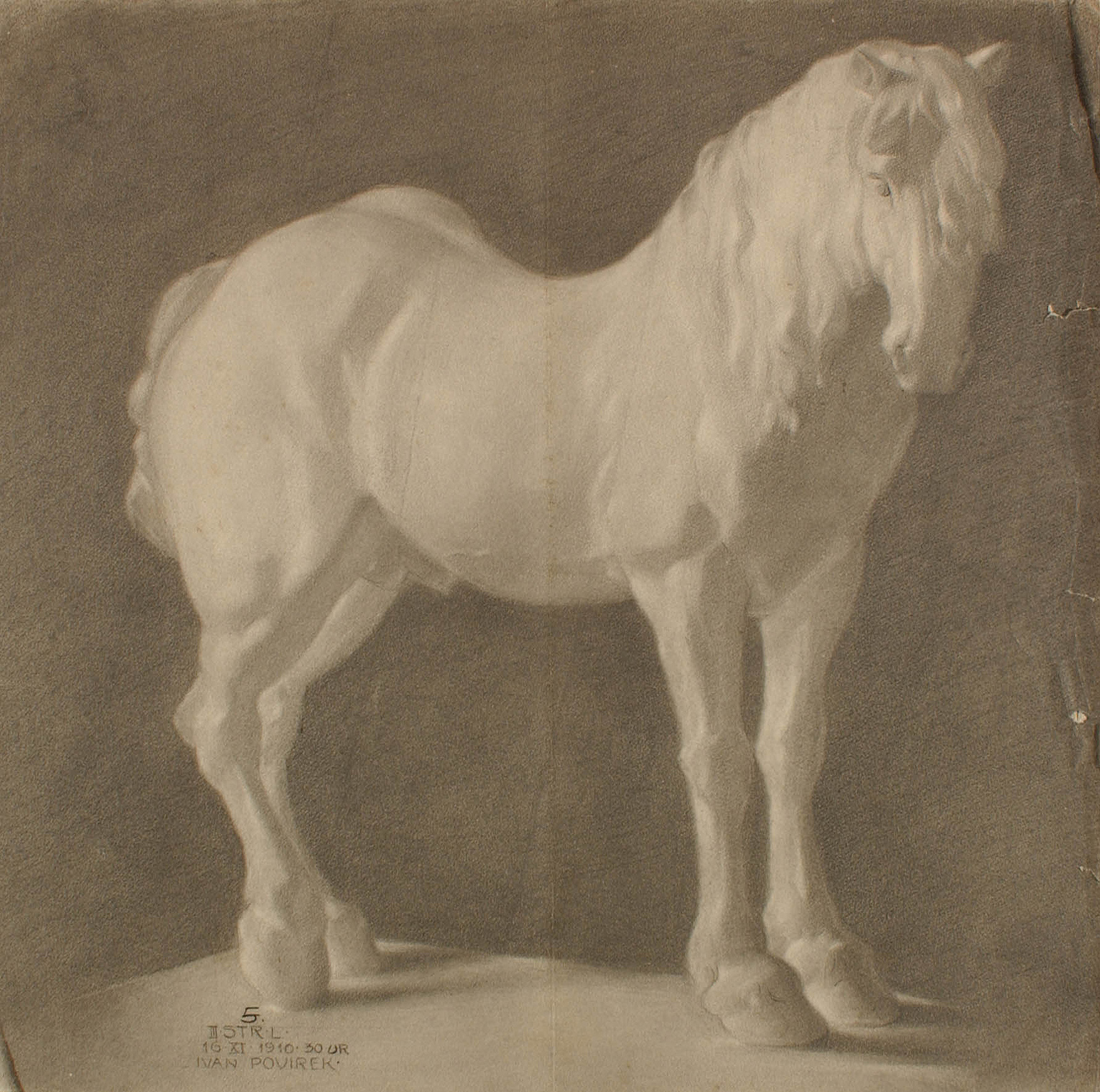 Ivan Povirek, Konj, študija modela, 1910