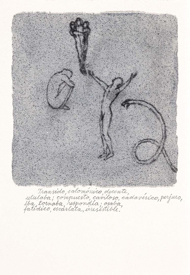 Transido, salomónico, decente, …