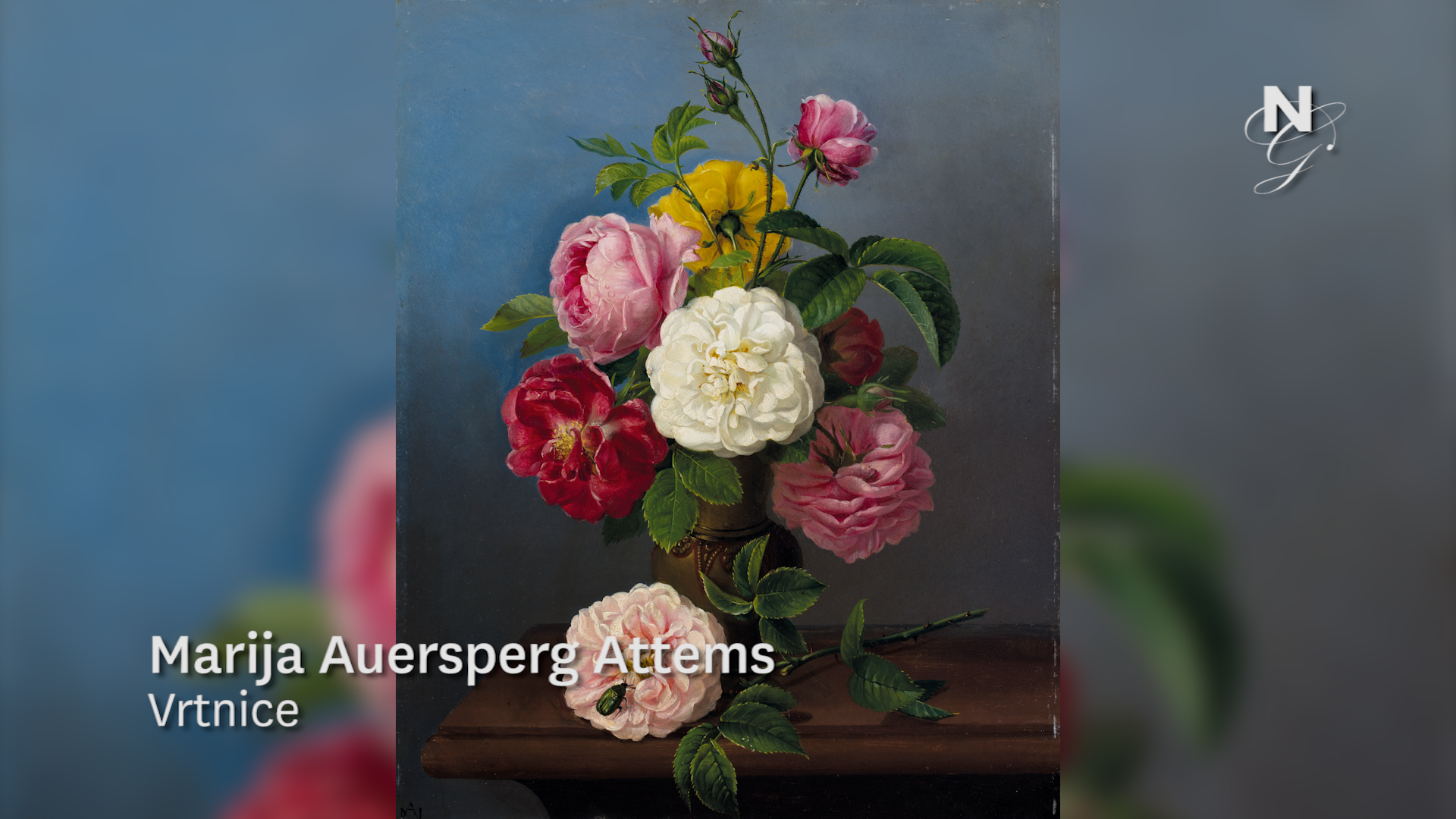 Marija Auersperg Attems, Vrtnice (video)